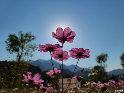 【城市漫游記】+斜河澗