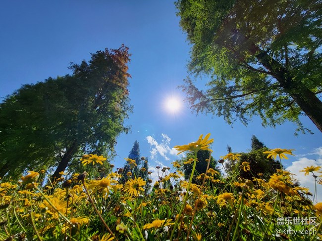 【冬日暖陽】+像春天的風，像夏天的雨，像秋天的落葉。