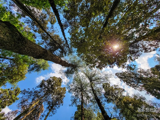 【冬日暖陽】+像春天的風，像夏天的雨，像秋天的落葉。