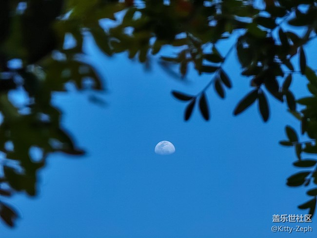 【冬日暖陽】+像春天的風，像夏天的雨，像秋天的落葉。