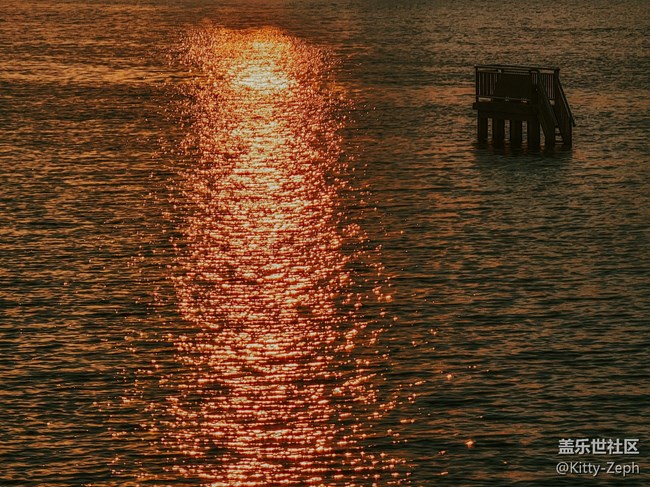 【冬日暖陽】+像春天的風，像夏天的雨，像秋天的落葉。