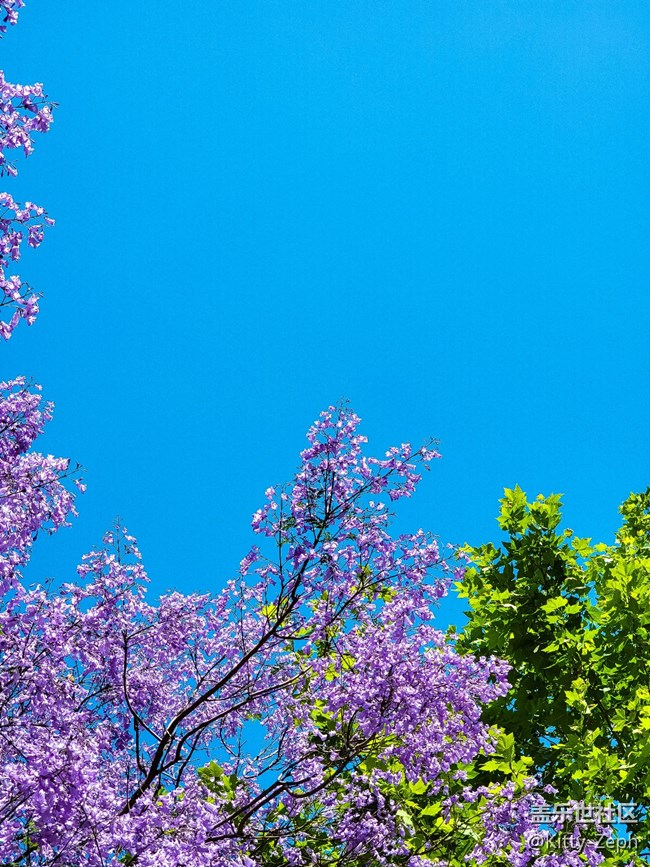 【冬日暖陽】+像春天的風，像夏天的雨，像秋天的落葉。