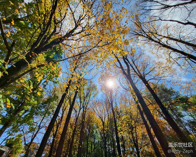 【冬日暖陽】+像春天的風，像夏天的雨，像秋天的落葉。