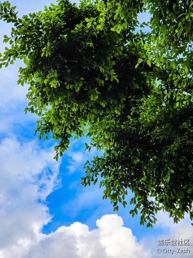 【冬日暖陽】+像春天的風，像夏天的雨，像秋天的落葉。
