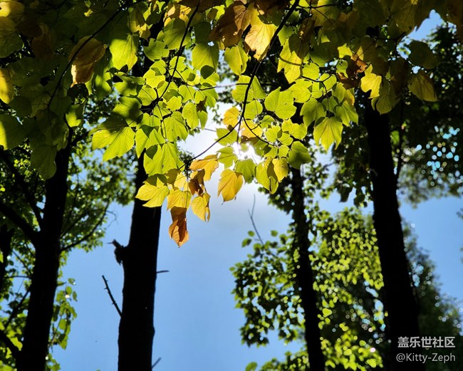 【冬日暖陽】+像春天的風，像夏天的雨，像秋天的落葉。