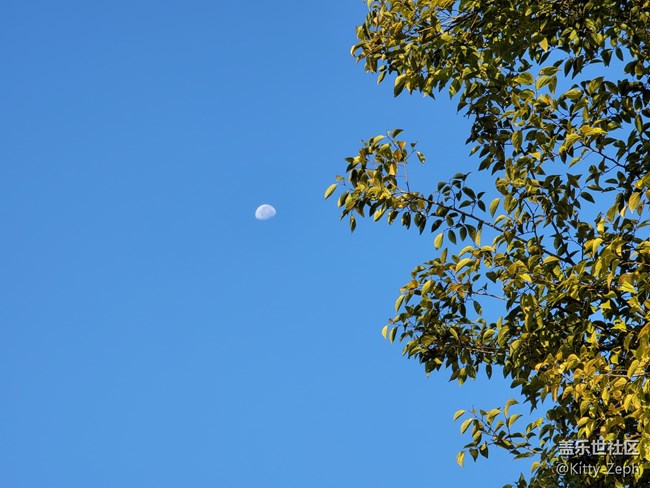【冬日暖陽】+像春天的風，像夏天的雨，像秋天的落葉。