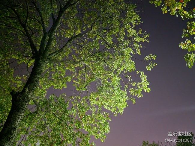 三星 Galaxy S21 Ultra 夜拍真強(qiáng)