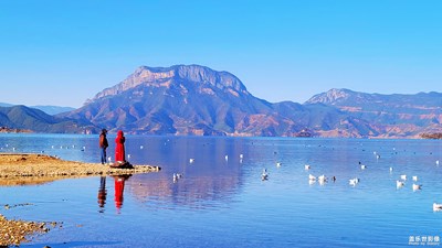 【難忘2021】+走過四季