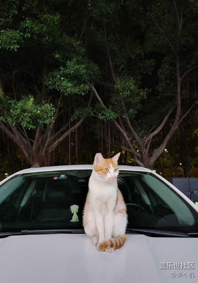 三星Galaxy S21 Ultra夜拍樣張