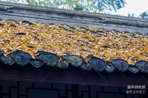 #初冬印象——色彩