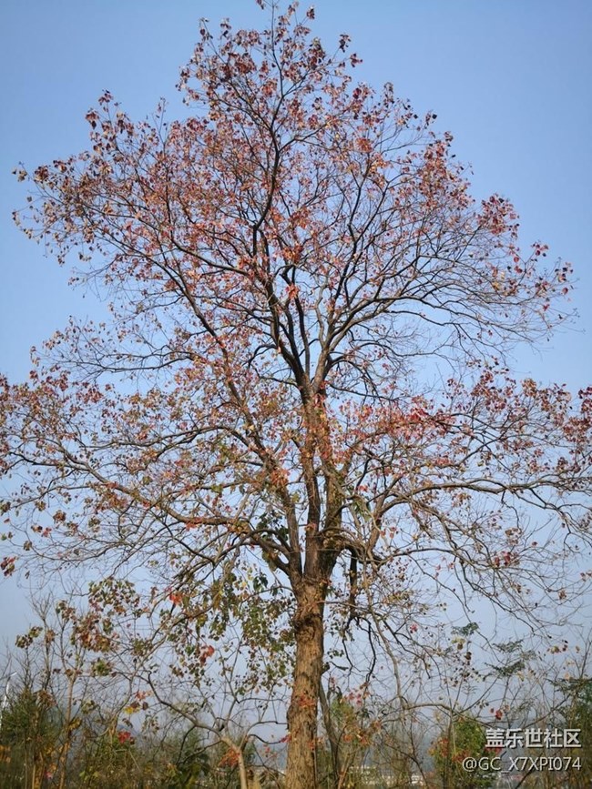 #初冬印象——好時(shí)節(jié)