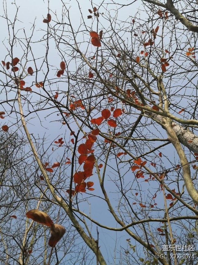 #初冬印象——好時(shí)節(jié)