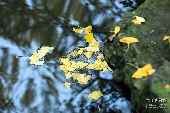 #初冬印象——色彩