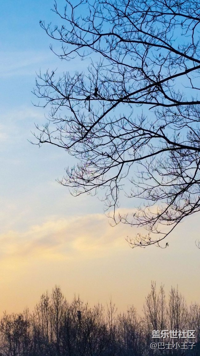 #初冬印象——色彩