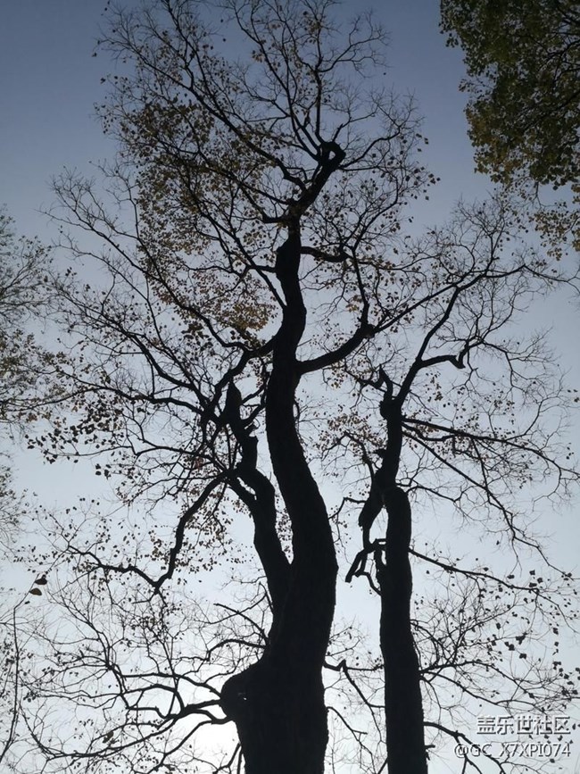 #初冬印象——好時(shí)節(jié)