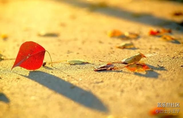 #初冬印象——色彩