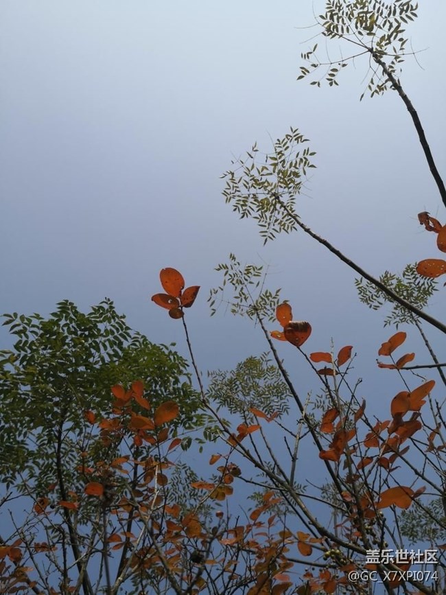 #初冬印象——好時(shí)節(jié)