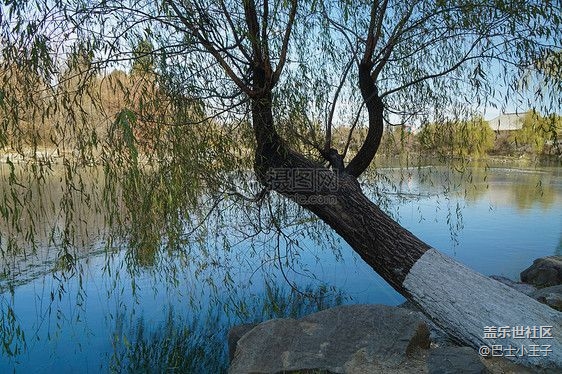 #初冬印象——色彩