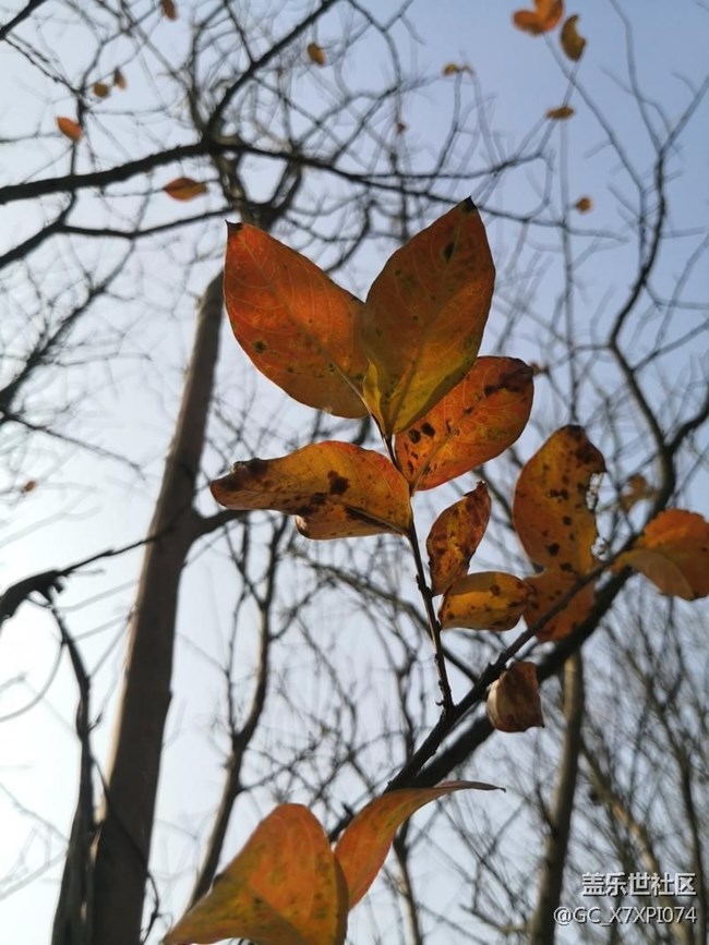 #初冬印象——好時(shí)節(jié)