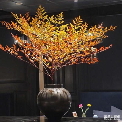 依然春意
