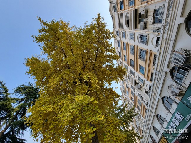 最近使用Galaxy S21 Ultra拍攝的超廣角圖片