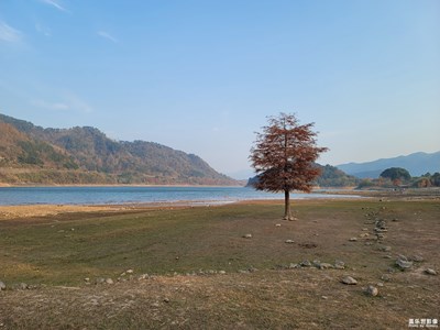 【難忘2021】冬日亭下湖，孤獨(dú)的樹和我