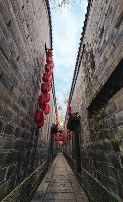 【難忘2021】+小逛