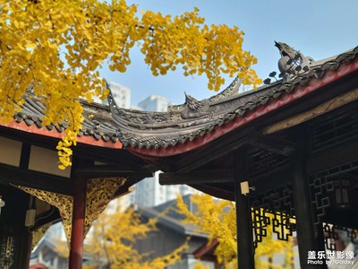 【冬日暖陽】+成都太古里大慈寺隨拍