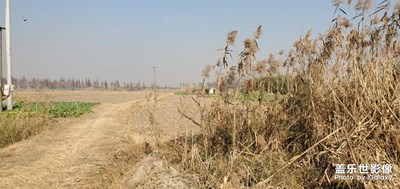 鄉(xiāng)間冬季