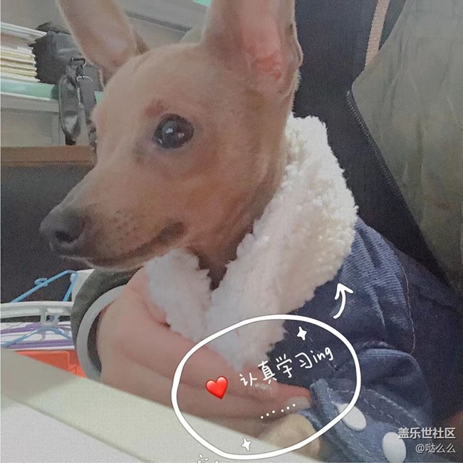 【再見2021】再見啦