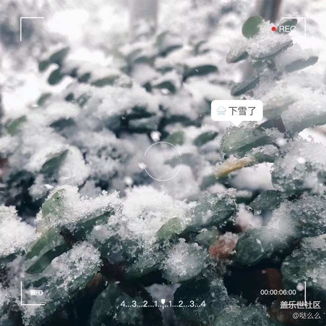 【再見2021】再見啦