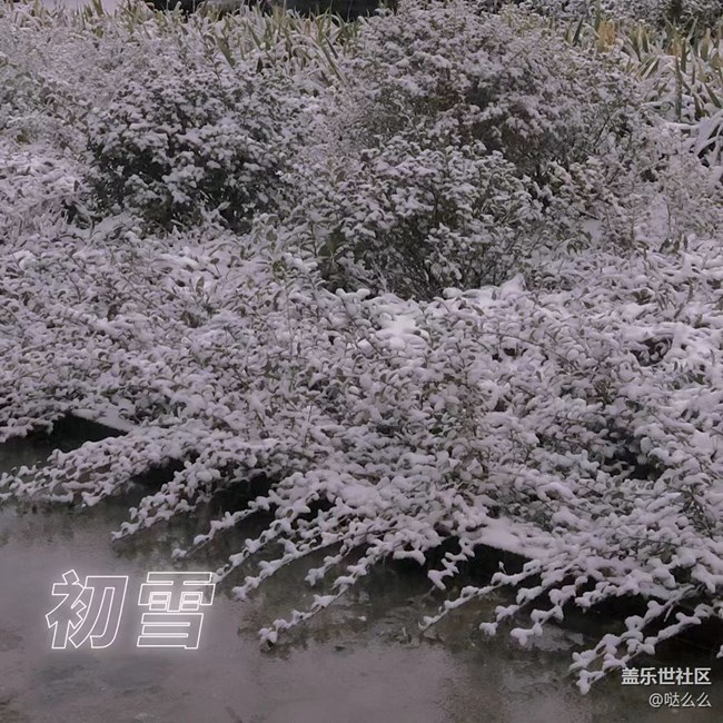 【再見2021】再見啦