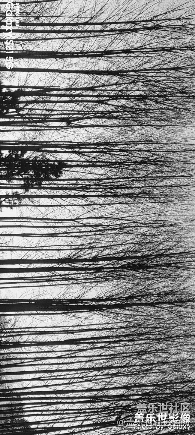 《每周星鮮事》 第90期:曬出2021你最難忘的照片