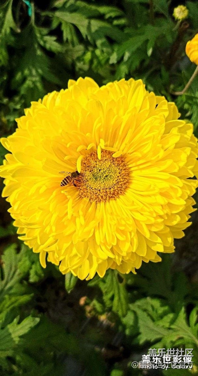 《每周星鮮事》 第90期:曬出2021你最難忘的照片