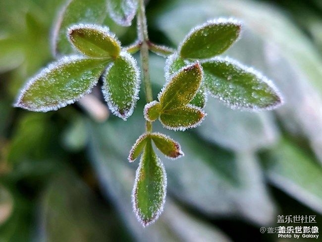 《每周星鮮事》 第90期:曬出2021你最難忘的照片