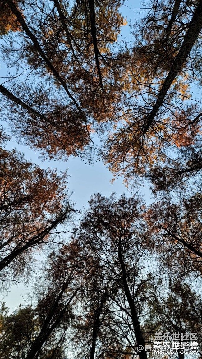 《每周星鮮事》 第90期:曬出2021你最難忘的照片