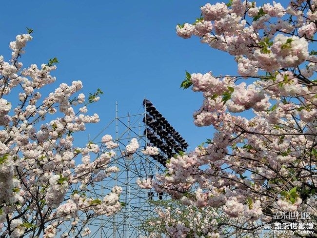 《每周星鮮事》 第90期:曬出2021你最難忘的照片