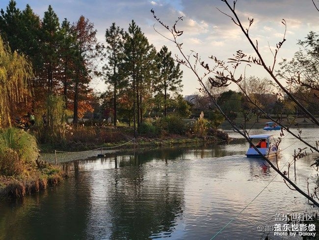 《每周星鮮事》 第90期:曬出2021你最難忘的照片