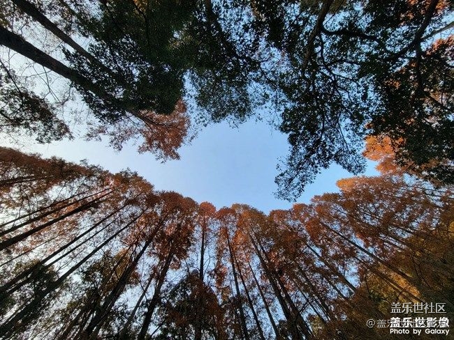 《每周星鮮事》 第90期:曬出2021你最難忘的照片