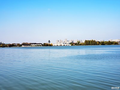 【金雞湖藍(lán)】