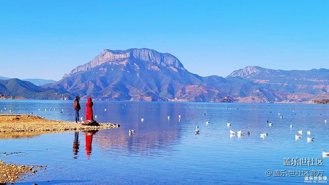 《每周星鮮事》 第90期:曬出2021你最難忘的照片