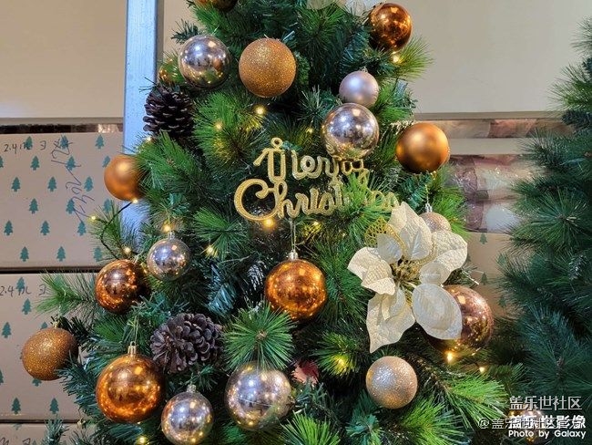 《每周星鮮事》 第90期:曬出2021你最難忘的照片