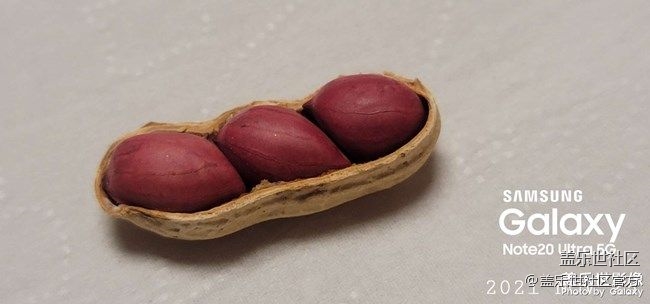 《每周星鮮事》 第90期:曬出2021你最難忘的照片