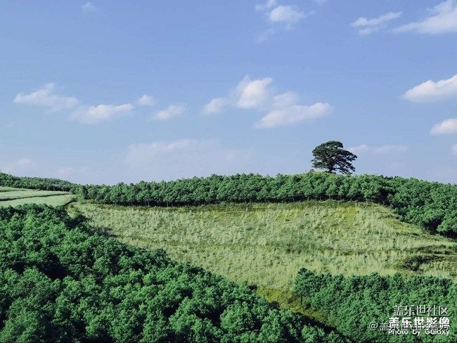 《每周星鮮事》 第90期:曬出2021你最難忘的照片