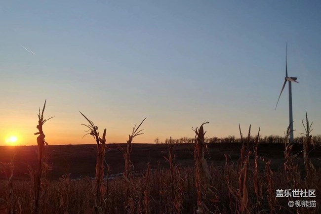 【再見2021】鄉(xiāng)下的歡樂時光