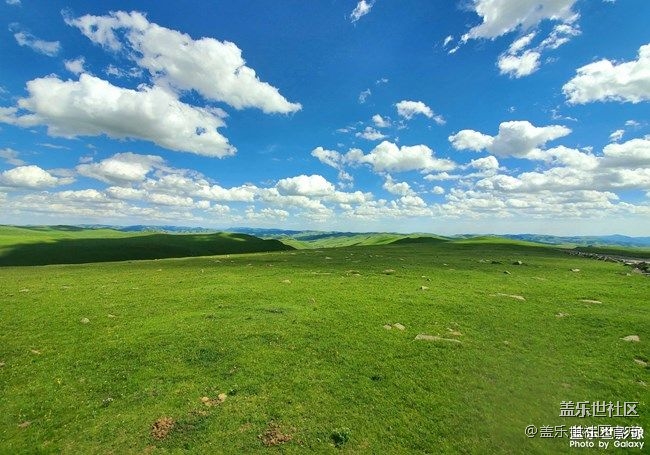 《每周星鮮事》 第90期:曬出2021你最難忘的照片