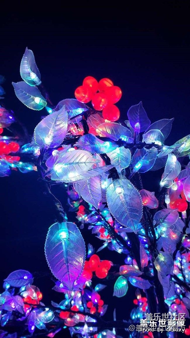 《每周星鮮事》 第90期:曬出2021你最難忘的照片