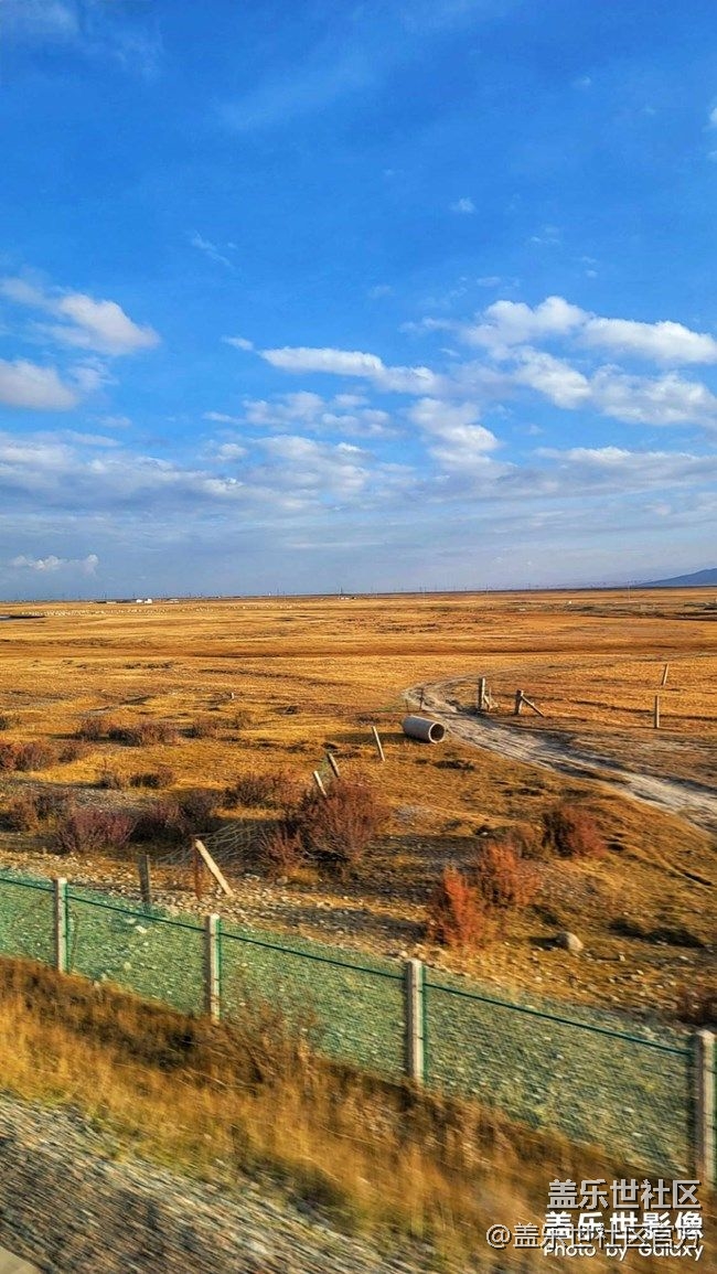 《每周星鮮事》 第90期:曬出2021你最難忘的照片