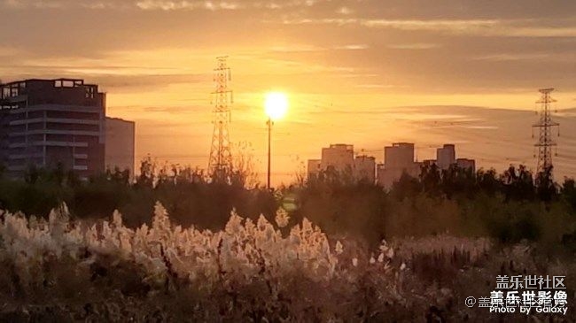 《每周星鮮事》 第90期:曬出2021你最難忘的照片