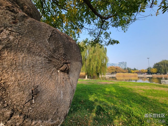 三星S21+樣張第三彈，超廣角拍攝絕絕子